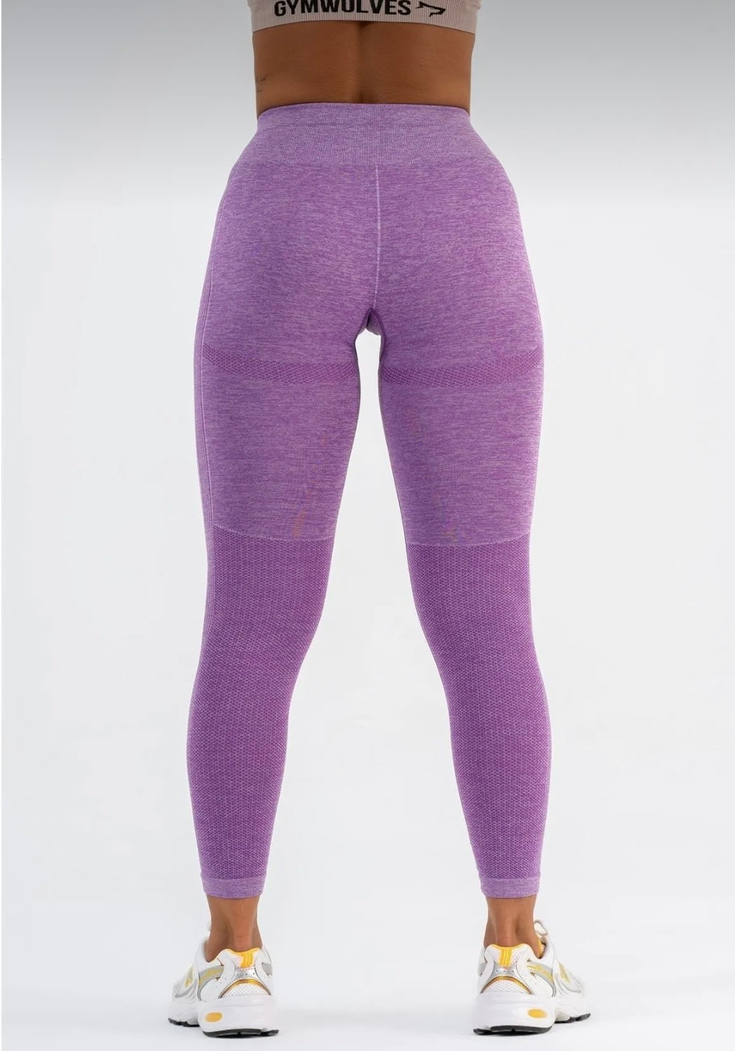 Gymwolves Seamless Sports Leggings | Seamles Leggings | Energy Series | - Azula sportswear