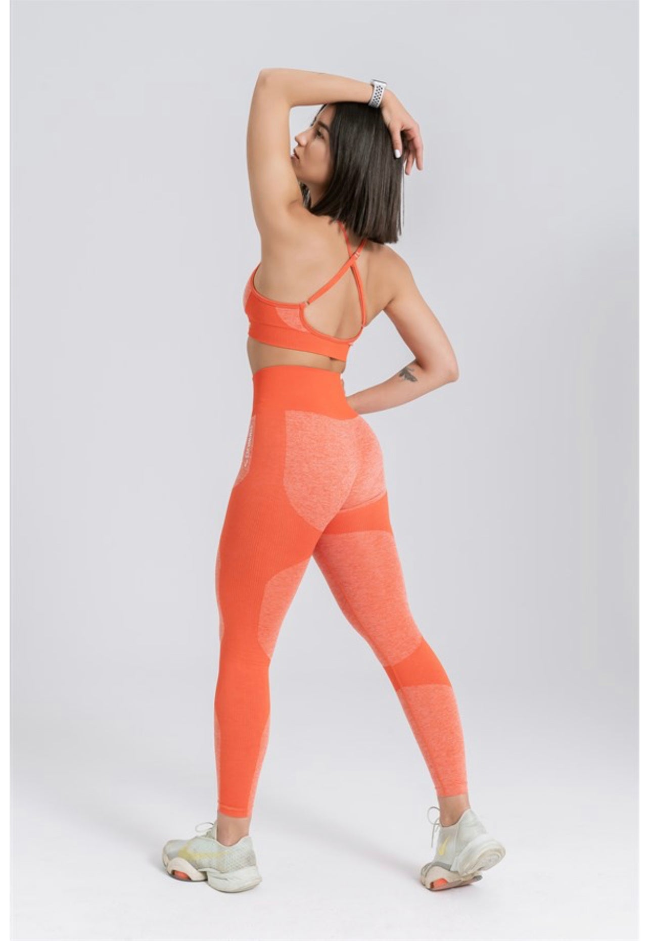 Gymwolves Seamless Sports Leggings | Seamles Leggings | Strong Series - Azula sportswear