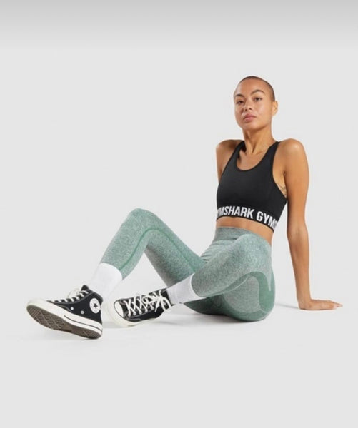 Sports Leggings in Egypt Azula Sportswear Azula sportswear