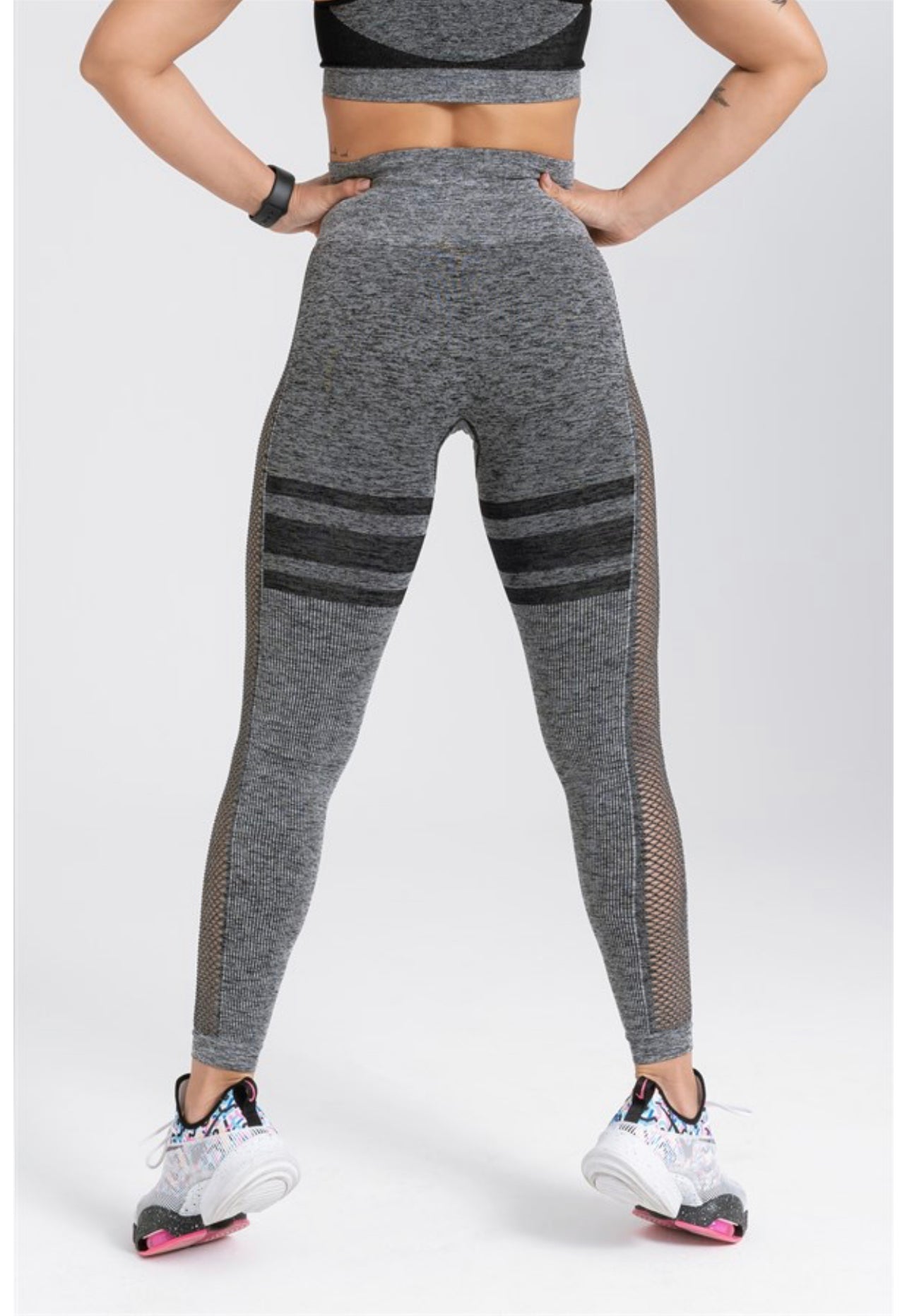 Gymwolves Seamless Sports Leggings | Seamles Leggings | Queen Series | - Azula sportswear