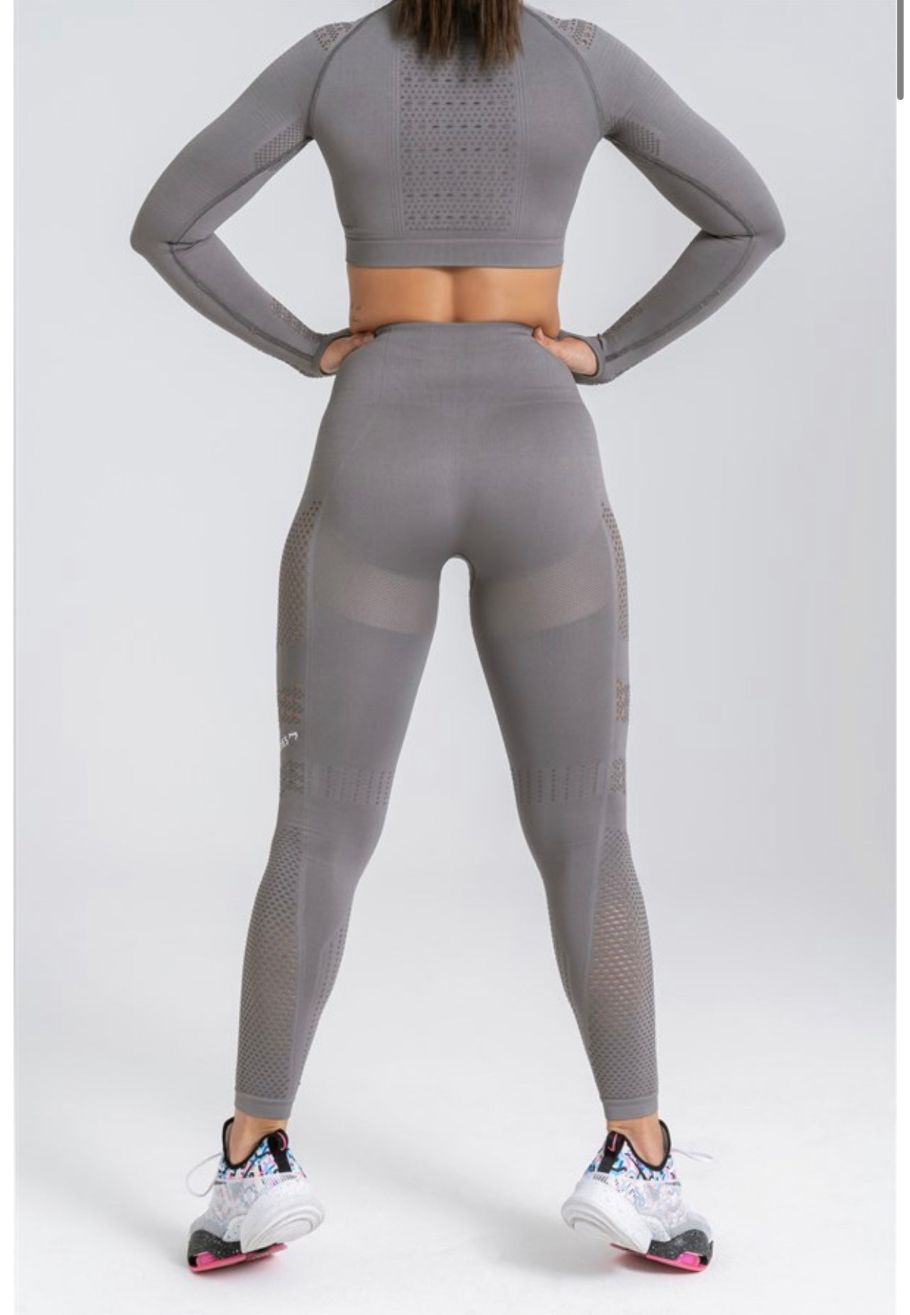 Gymwolves Women Long Sleeve Seamles Sports Tshirt | Crop Tops - Azula sportswear
