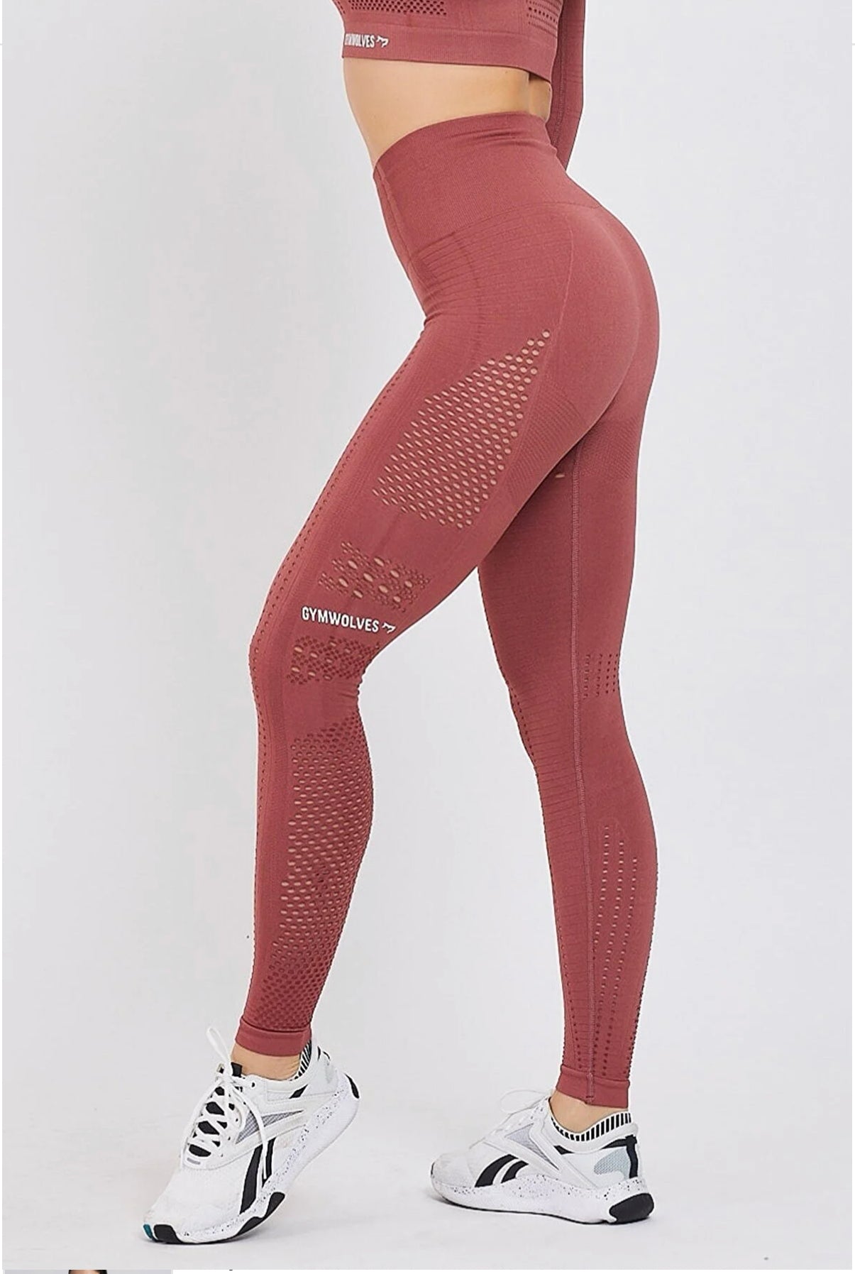 Gymwolves Seamless Sports Leggings | Seamles Leggings | Activated Power Series - Azula sportswear