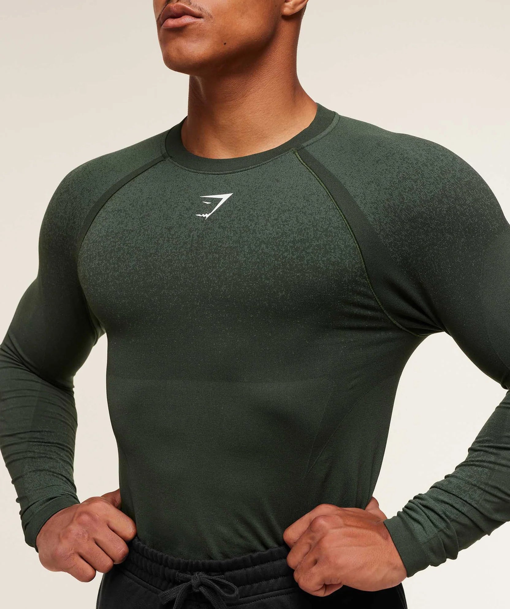 GYMSHARK SHADOW SEAMLESS LONG SLEEVE T-SHIRT