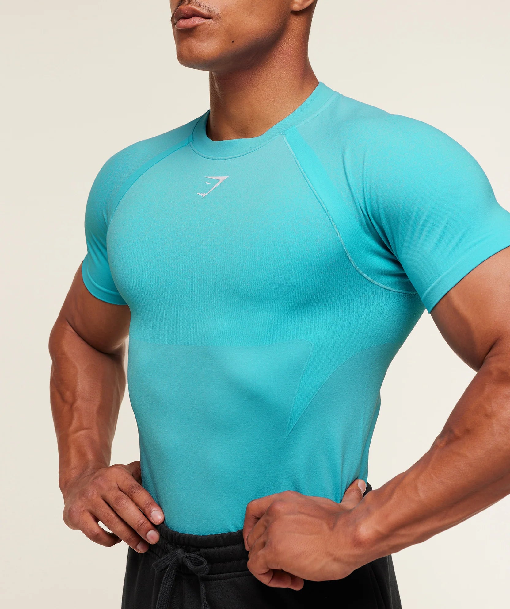 GYMSHARK SHADOW SEAMLESS T SHIRT