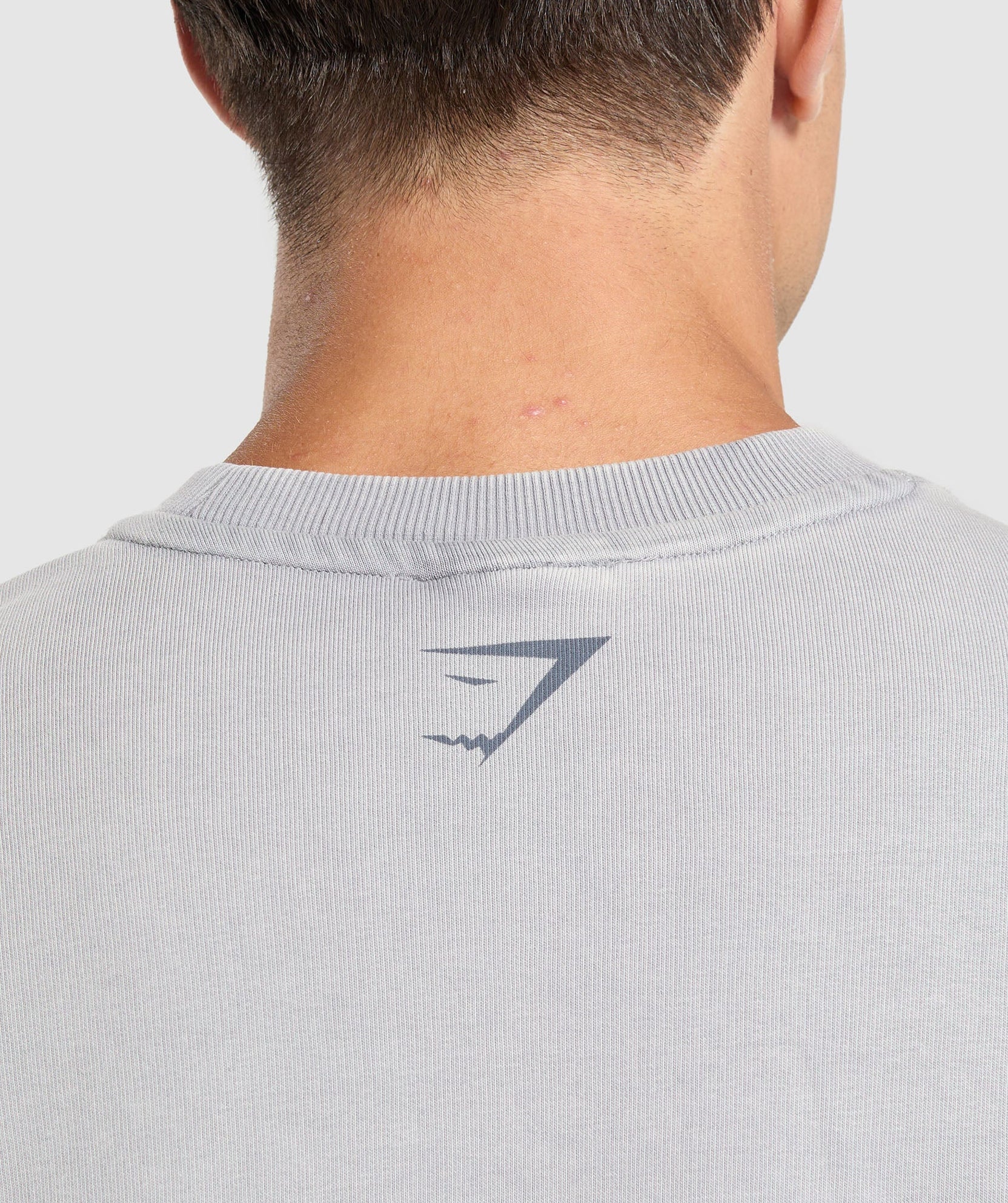 GYMSHARK HERITAGE WASHED SHORT SLEEVE CREW