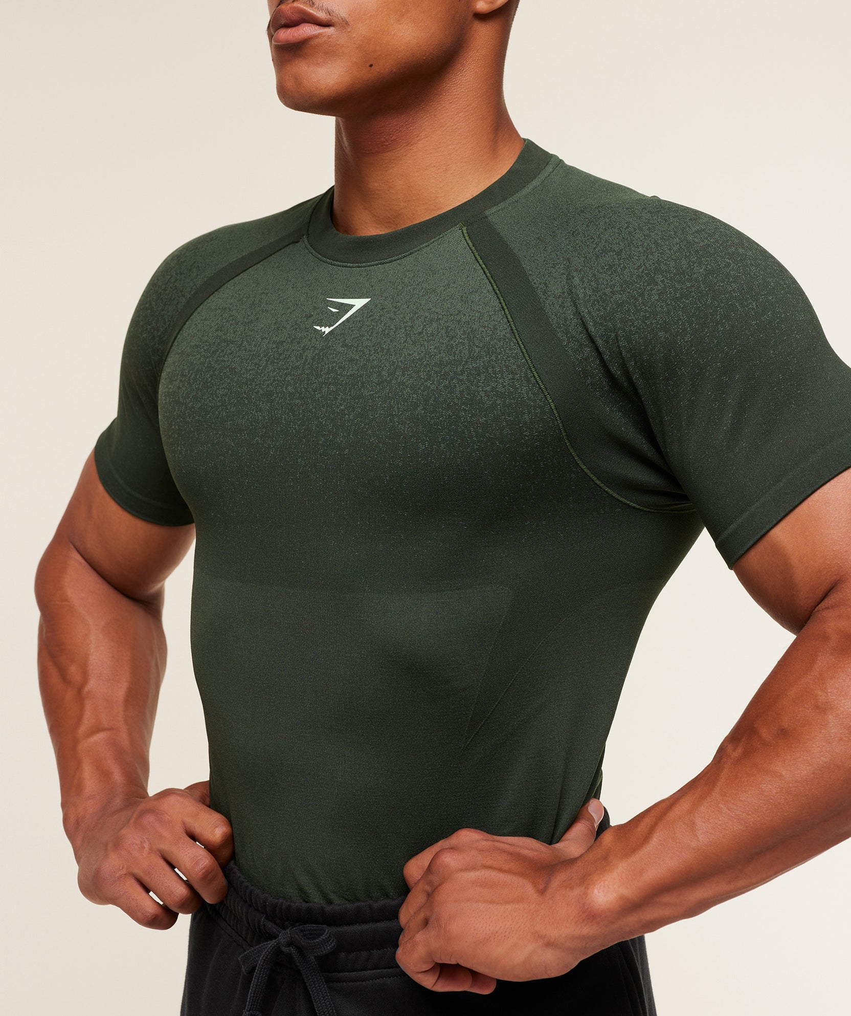 GYMSHARK SHADOW SEAMLESS T SHIRT