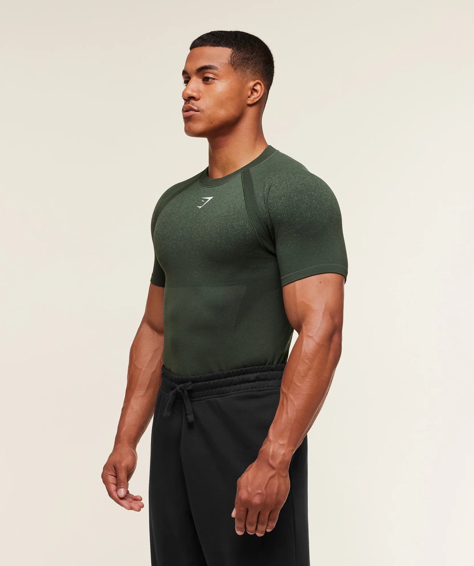 GYMSHARK SHADOW SEAMLESS T SHIRT