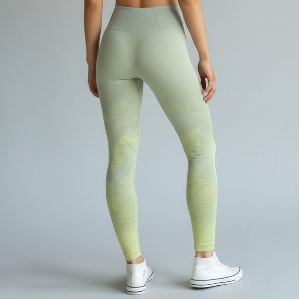 GYMSHARK ADAPT OMBRE SEAMLESS LEGGINGS
