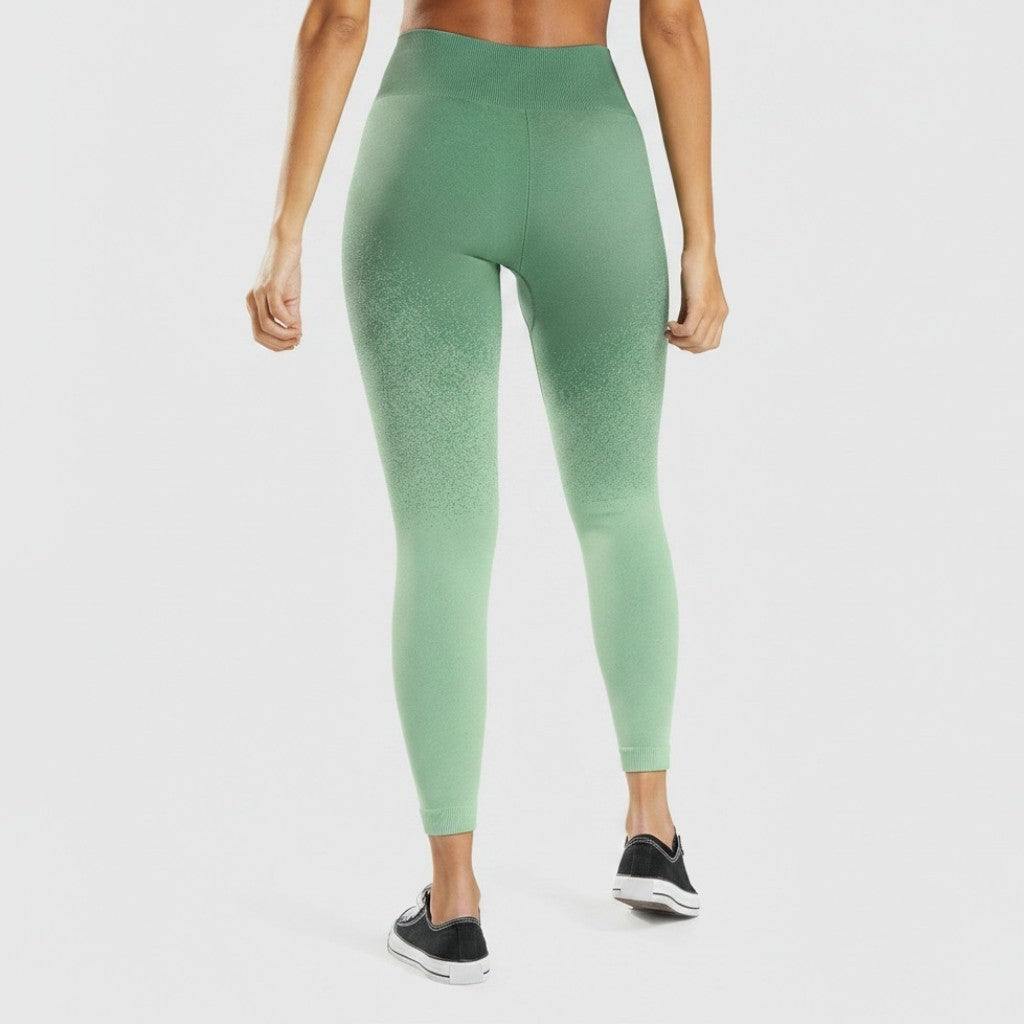 GYMSHARK ADAPT OMBRE SEAMLESS LEGGINGS