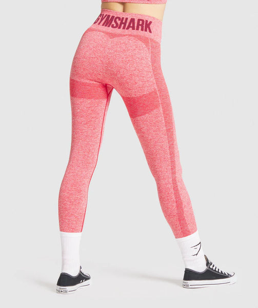 Sports Leggings in Egypt Azula Sportswear Azula sportswear