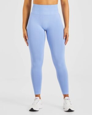 AYBL POWER SEAMLESS LEGGINGS